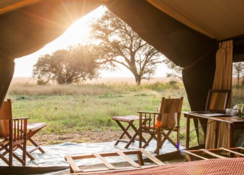 4 Days Budget Camping Safari – Tarangire & Ngorongoro with Maasai Village Visit