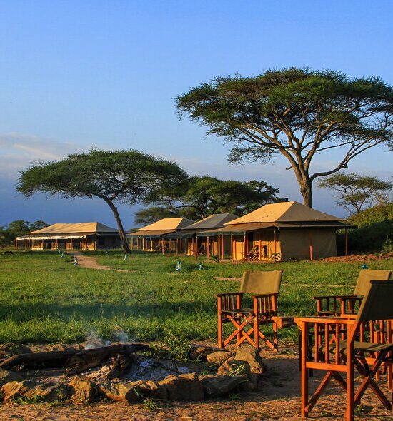 Tented Camps