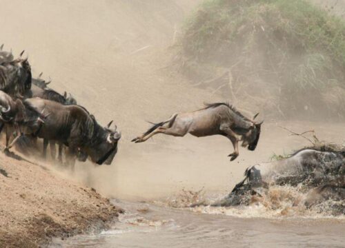 6 Days Mid-Range Safari – Great Migration Experience