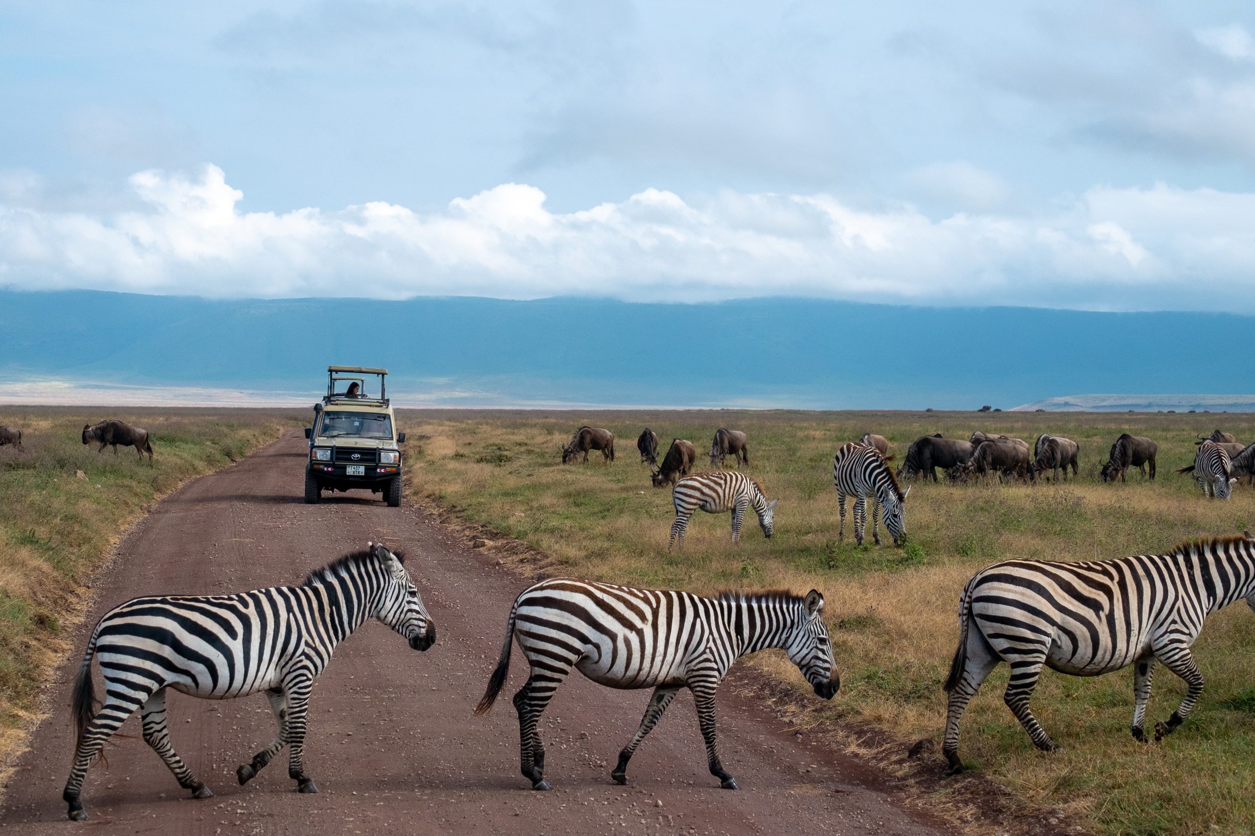 Ngorongoro2