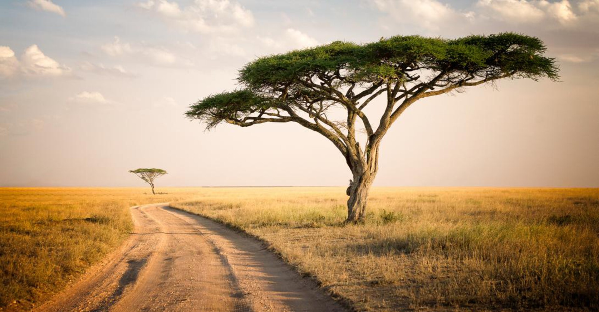 Northern serengeti image3