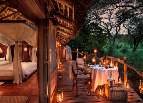 Ultimate Guide: How Much Does a Safari in Tanzania Cost in 2025?
