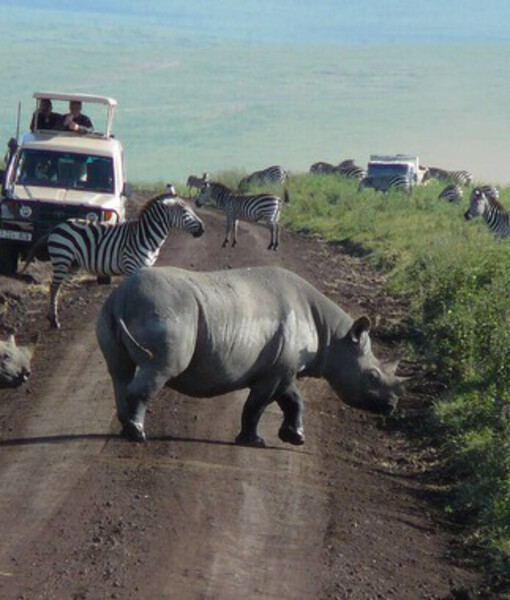 ngorongoro crater day trips tanzania