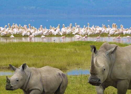Destination 2 Ngorongoro Crater