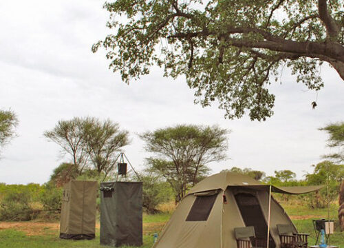 Destination 5 Lake Manyara