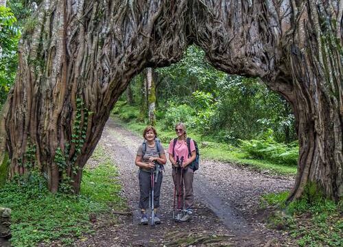 Destination 6 Arusha Nationa Park