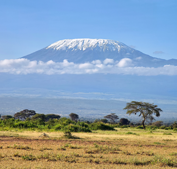 result How Hard Is It to Climb Mount Kilimanjaro