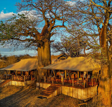 result exterior olkeri camp tarangire