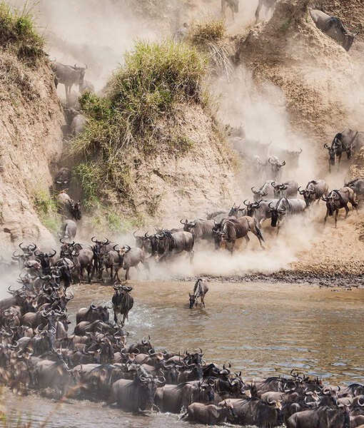 Serengeti 